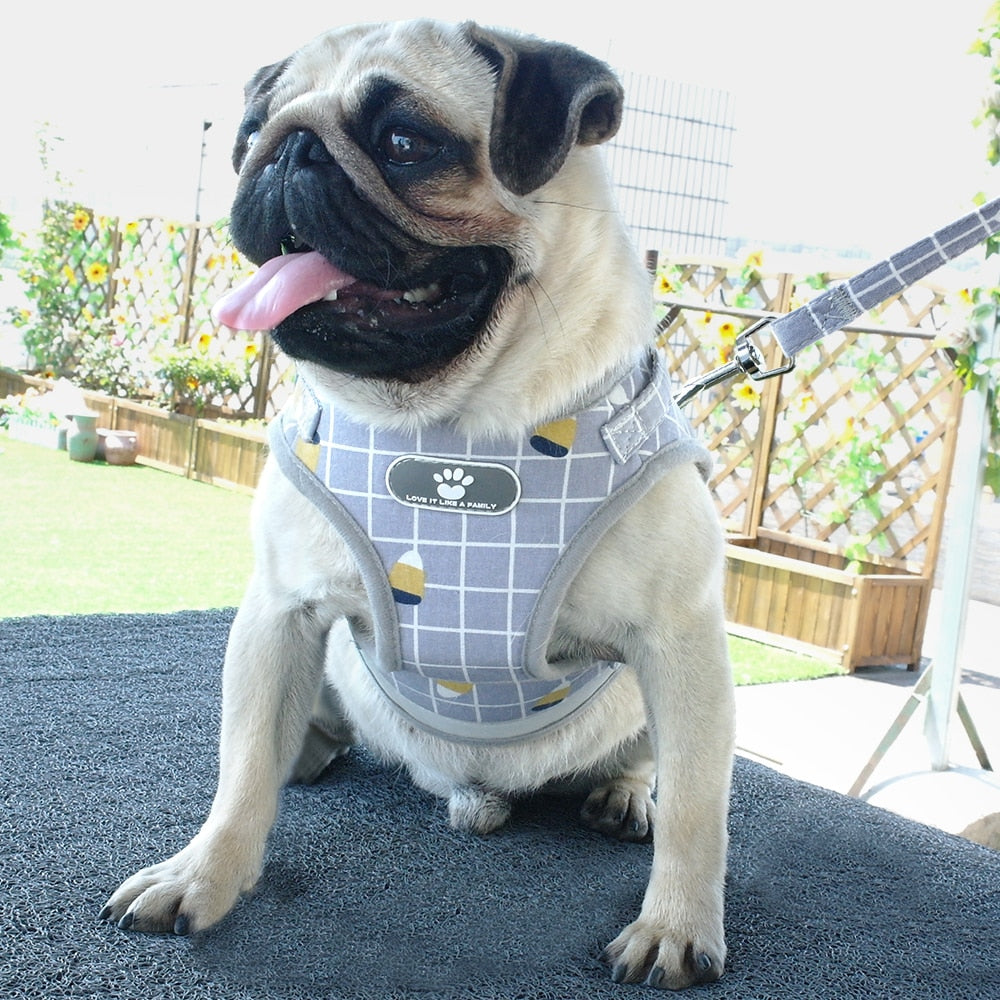 Cyan Ganymede Mesh Puppy Pet Harness Small Dogs Cat Harness and