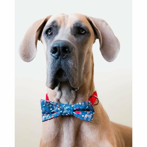 Scarlet Gaia You're a Catch - Dog Bow Tie