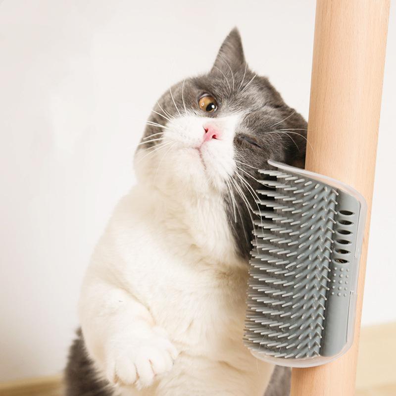 Azure Phaedra Corner Comb Pet Brush