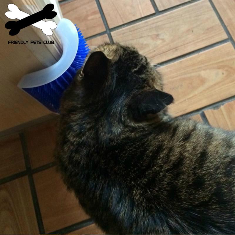 Azure Phaedra Corner Comb Pet Brush