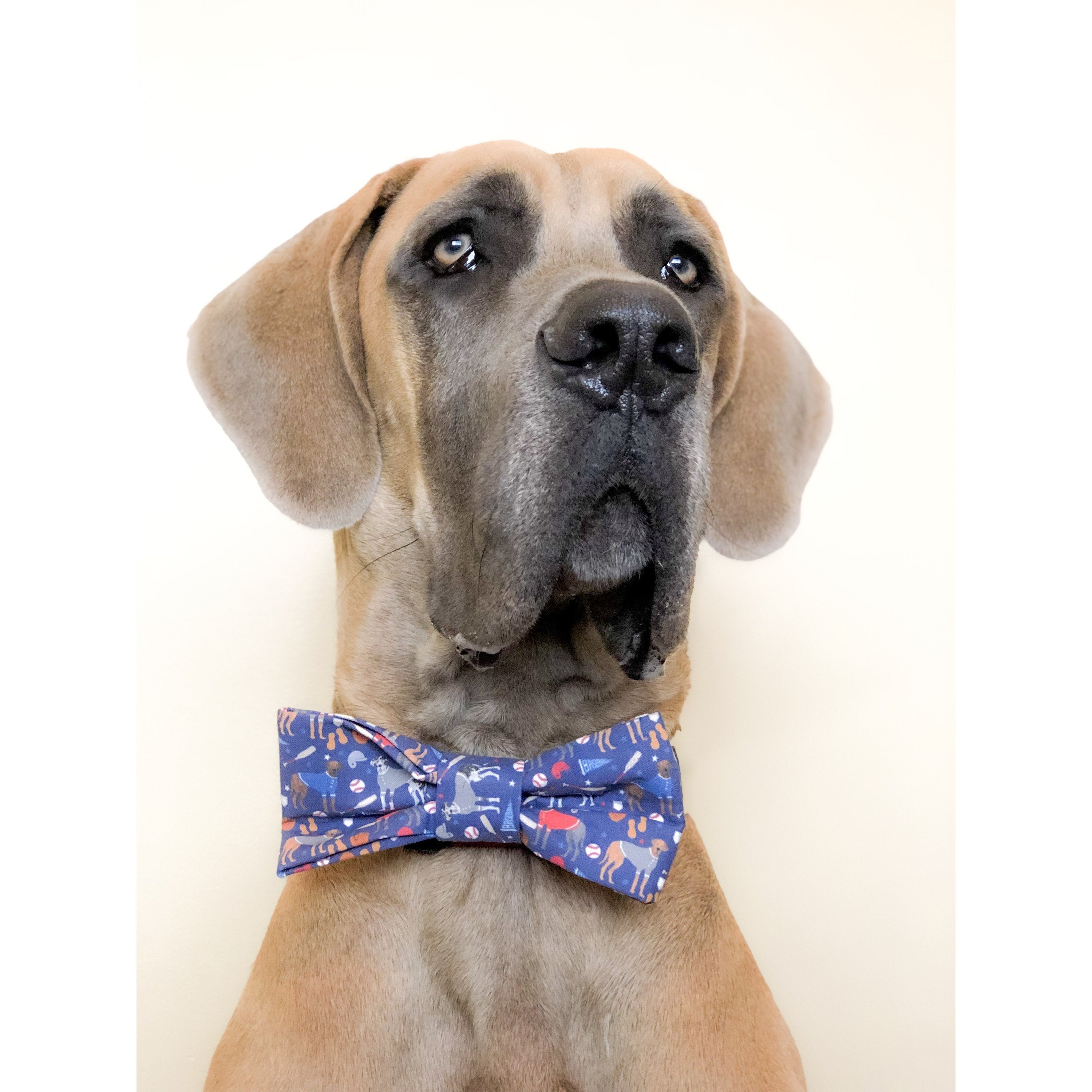 Scarlet Gaia You're a Catch - Dog Bow Tie