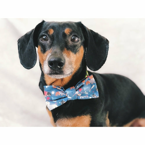 Scarlet Gaia You're a Catch - Dog Bow Tie