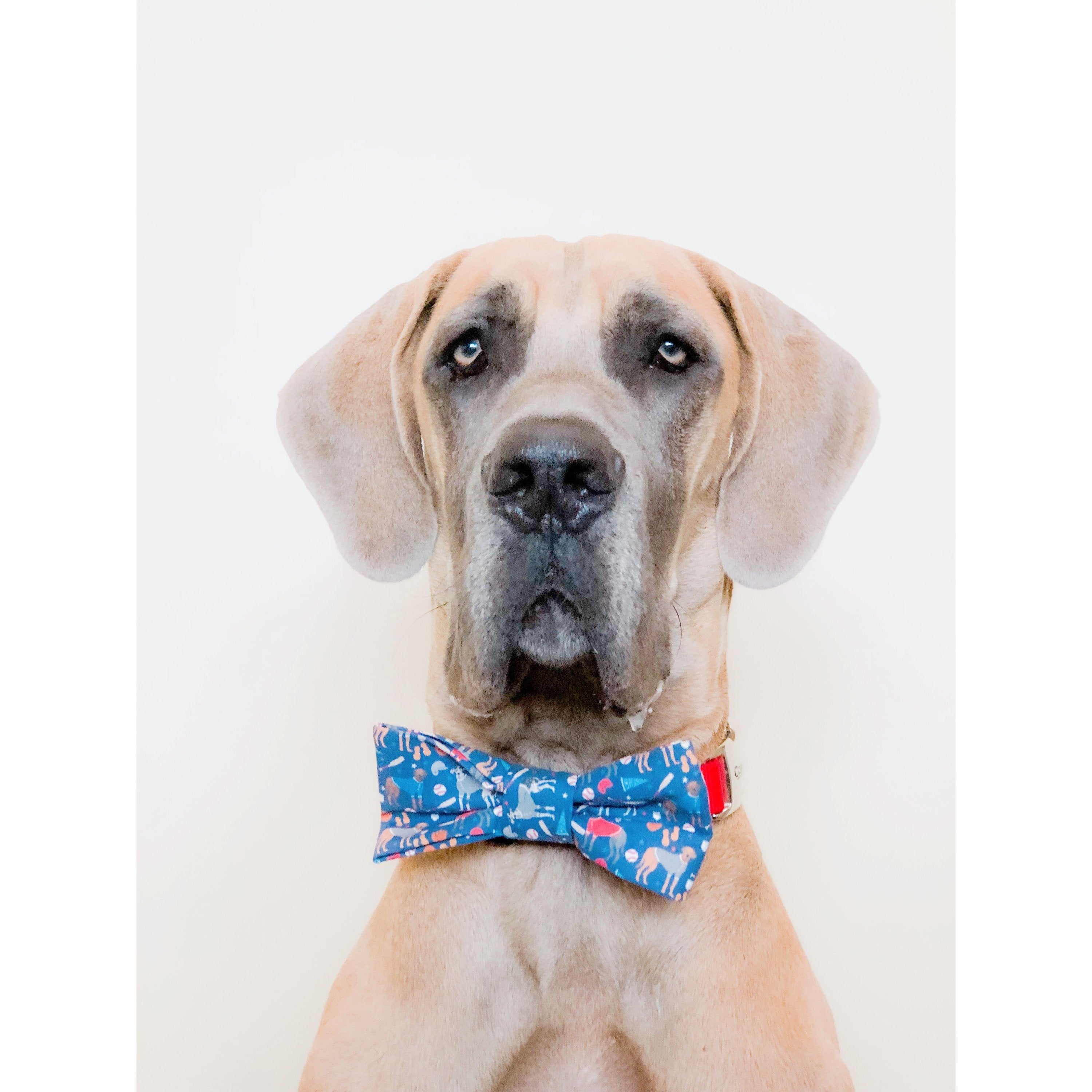 Scarlet Gaia You're a Catch - Dog Bow Tie