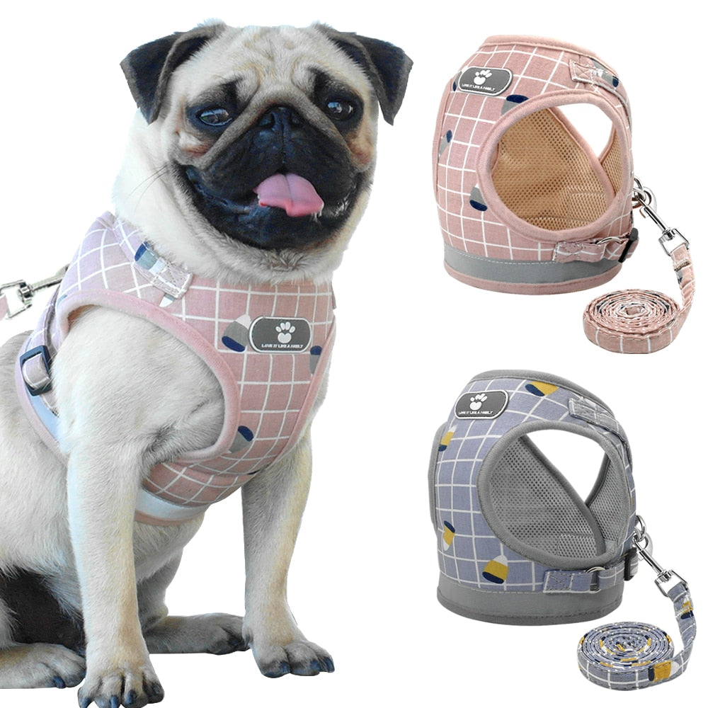 Cyan Ganymede Mesh Puppy Pet Harness Small Dogs Cat Harness and